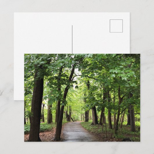 Woodland Path Briefkaart (Voorkant / Achterkant)