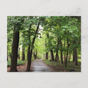 Woodland Path Briefkaart