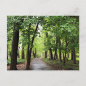 Woodland Path Briefkaart (Voorkant)