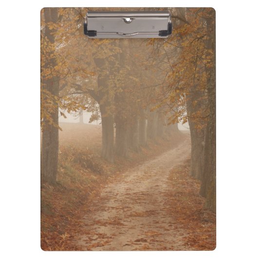 Woodland Path gelinkt door Autumn Trees Foto Klembord (Voorkant)