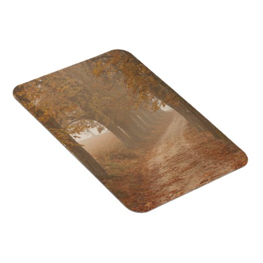 Woodland Path gelinkt door Autumn Trees Foto Magneet (Rechterzijde)