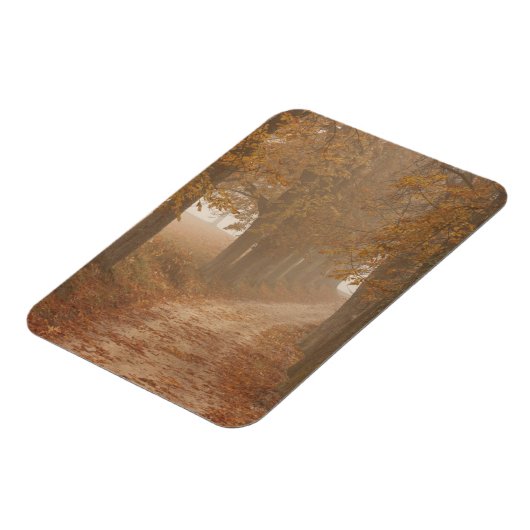 Woodland Path gelinkt door Autumn Trees Foto Magneet (Linkerzijde)