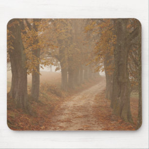 Woodland Path gelinkt door Autumn Trees Foto Muismat