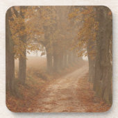 Woodland Path Lined by Autumn Trees Bier Onderzetter (Voorkant)