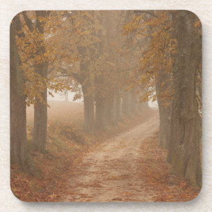 Woodland Path Lined by Autumn Trees Bier Onderzetter