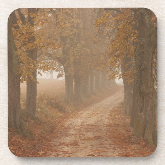 Woodland Path Lined by Autumn Trees Bier Onderzetter (Voorkant)