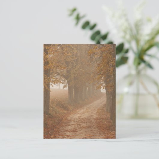 Woodland Path Lined by Autumn Trees Briefkaart (Staand voorkant)