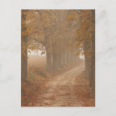 Woodland Path Lined by Autumn Trees Briefkaart (Voorkant)