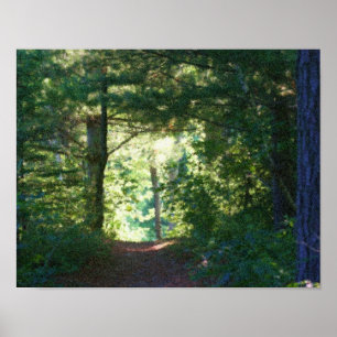 Woodland Path Seurat Oil Foto Painting Poster