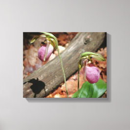 Woodland Pink Wild Lady Slipper Orchid Flowers Canvas Afdruk