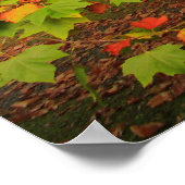 Woodland Print (Hoek)