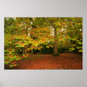 Woodland Print (Voorkant)