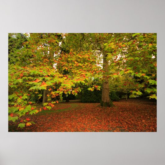 Woodland Print (Voorkant)