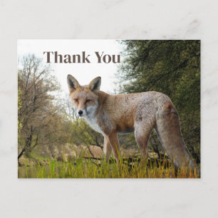 Woodland Red Fox bedankt Briefkaart