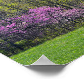 Woodland Redbud Trees Shawnee Mission Parks Kansas Poster (Hoek)