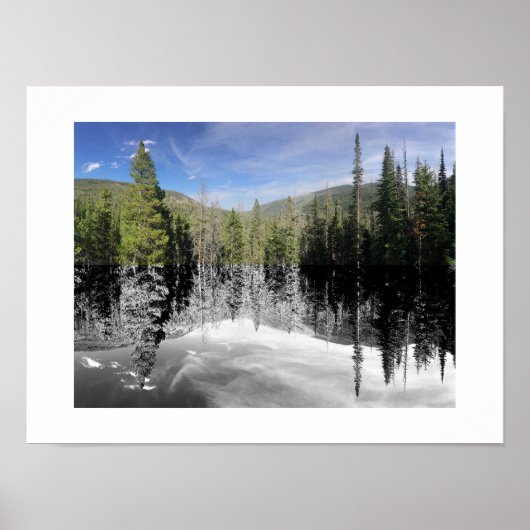 Woodland Reflection Photography Poster (Voorkant)