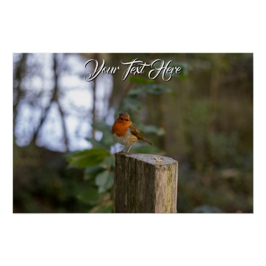 Woodland Robin Glossy Poster (Voorkant)