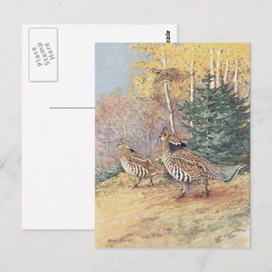 Woodland Ruffed Grouse Briefkaart (Voorkant / Achterkant)