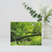Woodland Scene Briefkaart (Staand voorkant)