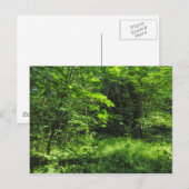 Woodland Scene Briefkaart (Voorkant / Achterkant)