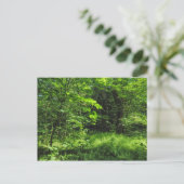 Woodland Scene Briefkaart (Staand voorkant)