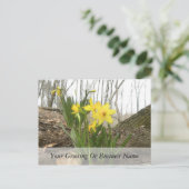Woodland Scene - Daffodils Briefkaart (Staand voorkant)