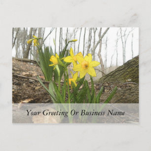 Woodland Scene - Daffodils Briefkaart