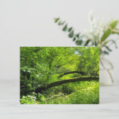 Woodland Scene Kaart (Staand voorkant)