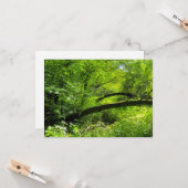 Woodland Scene Kaart (Voorkant / Achterkant in situ)