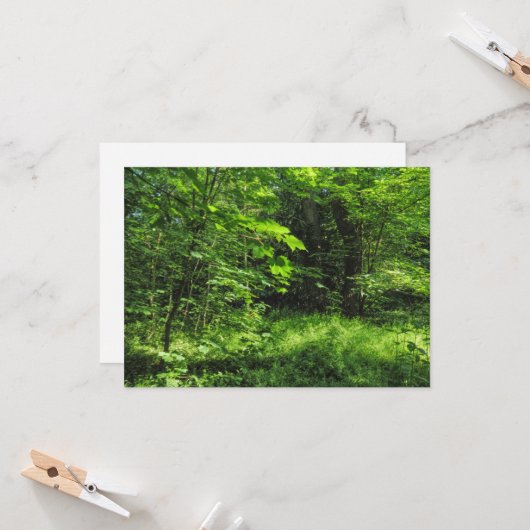 Woodland Scene Kaart (Voorkant / Achterkant in situ)