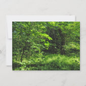 Woodland Scene Kaart (Voorkant)