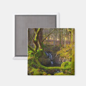 Woodland Scene Magnet (Voorkant / Achterkant)