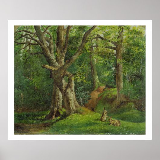 Woodland Scene met Rabbits, 1862 (olie op canvas) Poster (Voorkant)