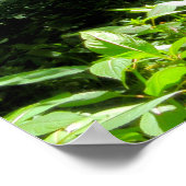 Woodland Scene Poster (Hoek)