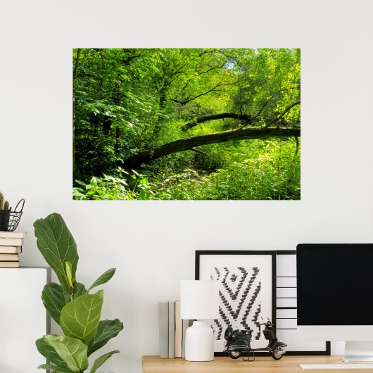 Woodland Scene Poster (Thuiskantoor)