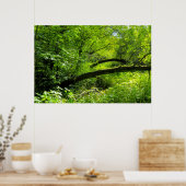 Woodland Scene Poster (Keuken)