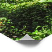 Woodland Scene Poster (Hoek)