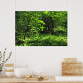 Woodland Scene Poster (Keuken)