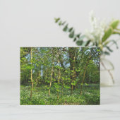 Woodland Scene. Zwarte Bossen, Cardiff Kaart (Staand voorkant)