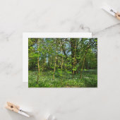 Woodland Scene. Zwarte Bossen, Cardiff Kaart (Voorkant / Achterkant in situ)