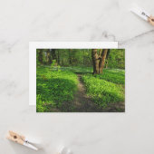 Woodland Scene. Zwarte Bossen, Cardiff Kaart (Voorkant / Achterkant in situ)