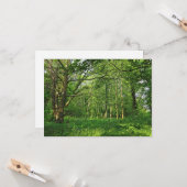 Woodland Scene. Zwarte Bossen, Cardiff Kaart (Voorkant / Achterkant in situ)