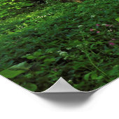 Woodland Scene. Zwarte Bossen, Cardiff Poster (Hoek)