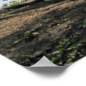 Woodland Scene. Zwarte Bossen, Cardiff Poster (Hoek)