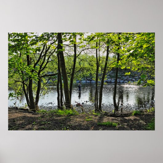 Woodland Scene. Zwarte Bossen, Cardiff Poster (Voorkant)