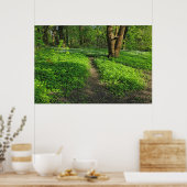 Woodland Scene. Zwarte Bossen, Cardiff Poster (Keuken)