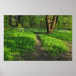Woodland Scene. Zwarte Bossen, Cardiff Poster