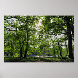Woodland Scene. Zwarte Bossen, Cardiff Poster