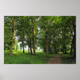 Woodland Scene. Zwarte Bossen, Cardiff Poster