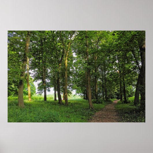 Woodland Scene. Zwarte Bossen, Cardiff Poster (Voorkant)